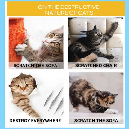 Pet's Scratch Protector